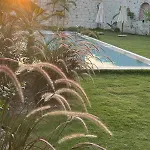 Elia Alacati Çeşme